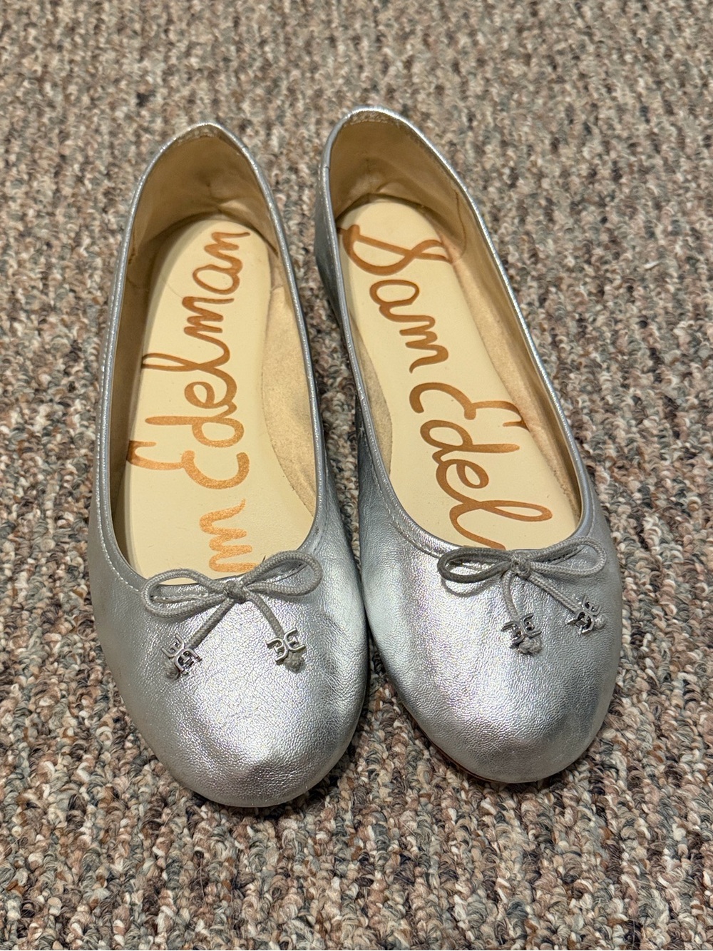 Sam Edelman Silver Metallic Ballet Flats